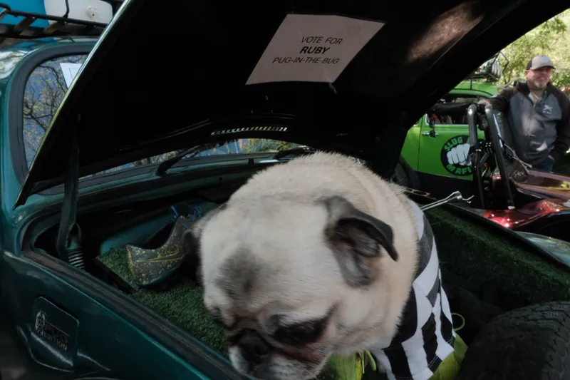 Glovebox Gallery Photograph